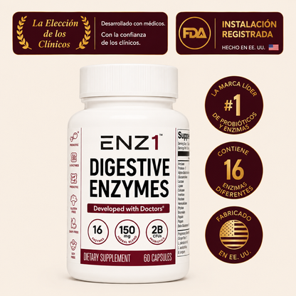 enzimas digestivas