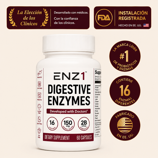 enzimas digestivas
