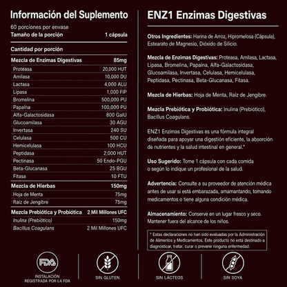 enzimas digestivas